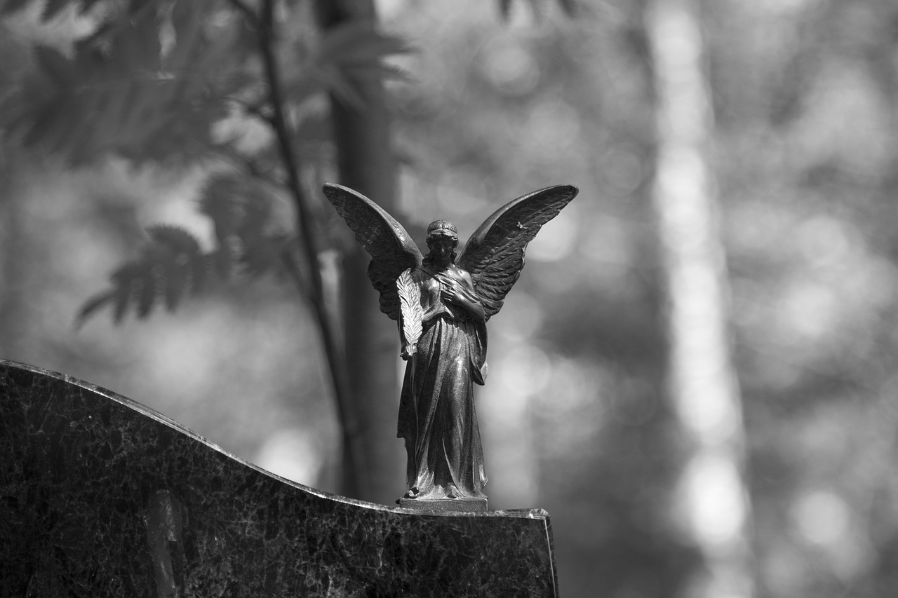 Disaster Recovery: Coping with Loss and Grief
